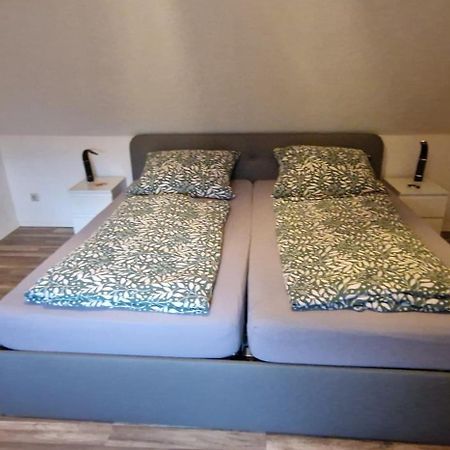 Manu'S Appartements กอสลาร์ ภายนอก รูปภาพ